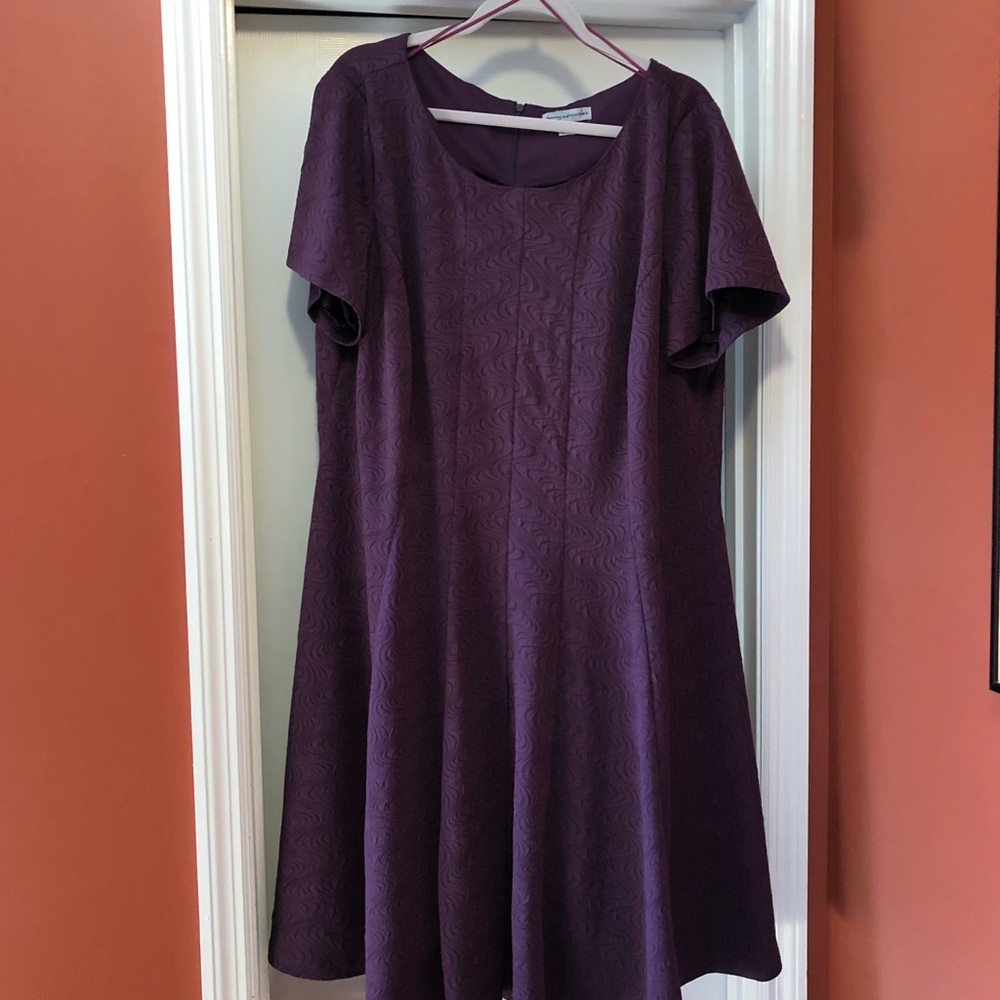 3x plumb colored princess Seam dress.